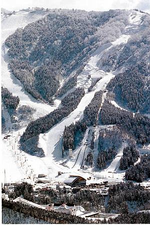 2000年　とやま国体　in　富山県　極楽坂スキー場