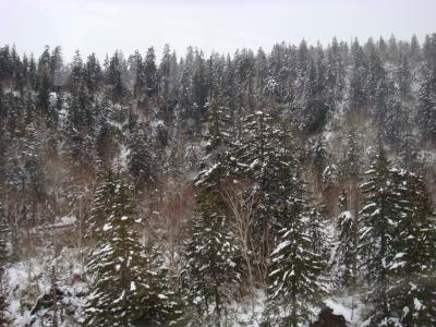 女3人旅♪～大雪山＆旭岳温泉＆早めの雪景色～