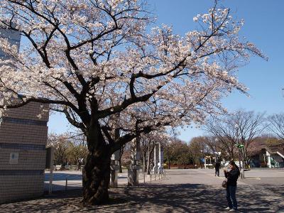 春休み　可愛い連中と　代々木公園撮影行　編ー１