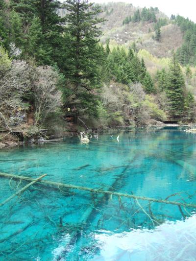 世界遺産とパンダに会いに行く』四川省(中国)の旅行記・ブログ