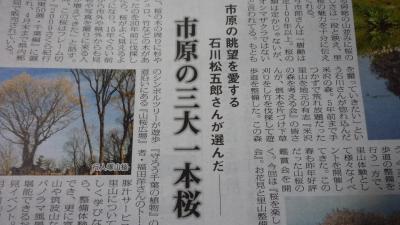 09年04月04日（土）、市原の眺望を愛する石川松五郎さんが選んだ市原の三大一本桜・勝間をさがして。