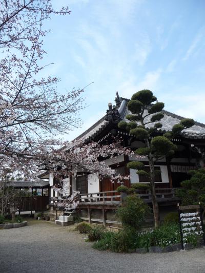 2009年桜だより◆帯解寺（奈良市）