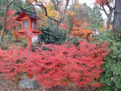 京都・亀岡の紅葉
