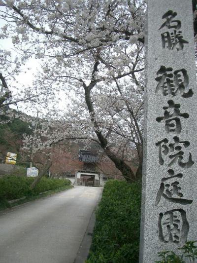 名勝 観音院庭園 は池の静かさが特別