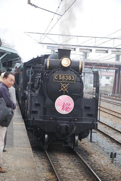 秩父の桜を求めてのハイキング?寄居駅でのＳＬ撮影会