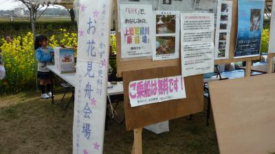 09年04月05日(日）、「NHKでも紹介された上総更科川で桜を観る会」の現場検証。