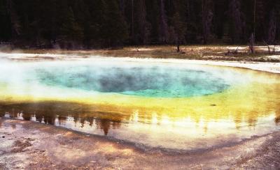 Yellowstone National Park 1982