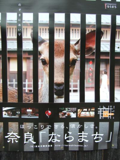 春の奈良・大和路（氷室神社・東大寺～ならまち散策）