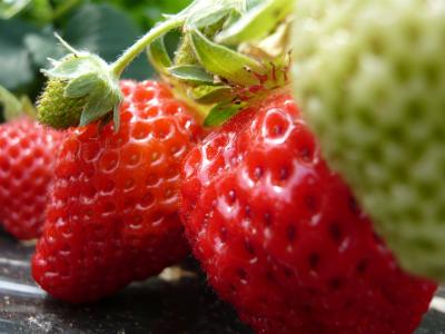 １日に必要なビタミンＣを摂るために