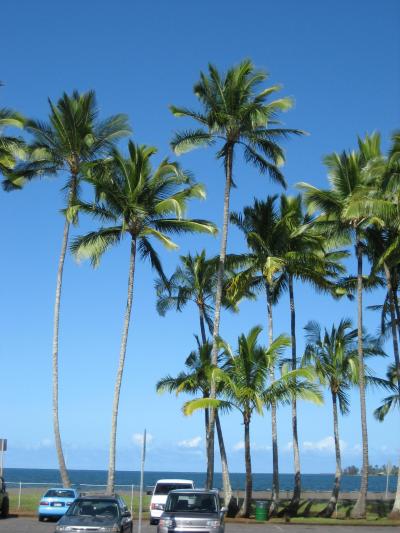 ハワイ島４泊６日の旅?