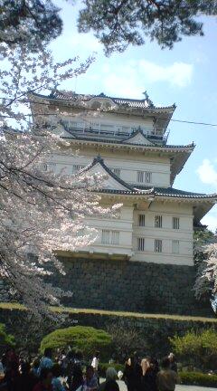 花見シリーズ最終章　小田原城