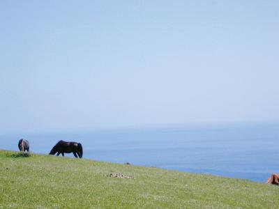 初夏の宮崎観光・串間