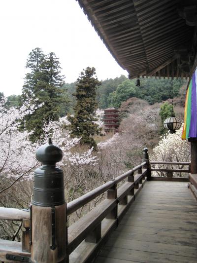 春の奈良・大和路（長谷寺～薬師寺）