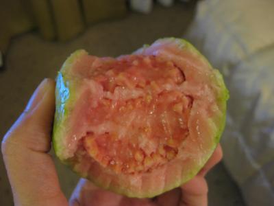 沖縄カフェ巡り（3日目）～コバルトブルーの海を求めて～