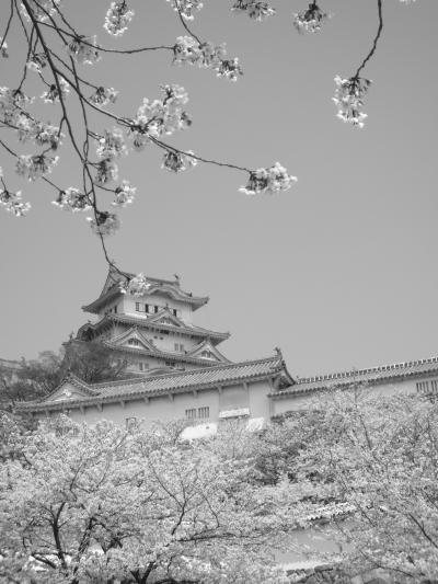 モノクロの世界で見る姫路城