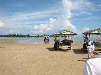 まったり　ダイビングと夏休み