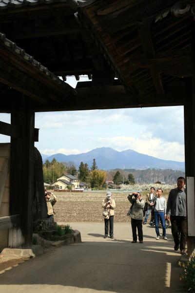 車で山梨-1 ★北杜市・桜の花咲く大津山実相寺