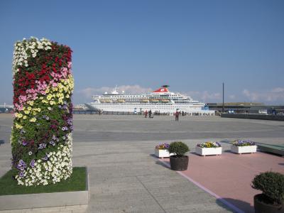横浜 ：豪華客船「バルモラル」 桜の季節に寄港