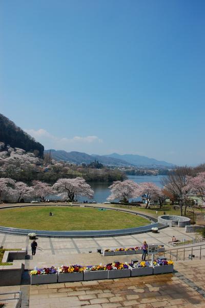 春爛漫・桜満開　津久井湖