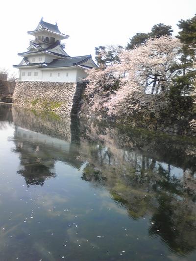 富山城　　松川の桜　護国神社