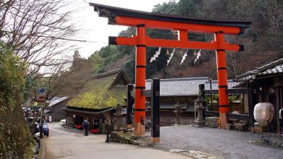 京都府　京都市　秋の嵯峨野めぐり?（愛宕念仏寺、嵯峨鳥居本、化野念仏寺など）