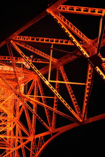 ひとり旅 [491] 東京滞在中に＜40年ぶりの展望台／東京タワー＞東京都港区