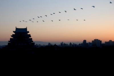 冬紀行　温泉＆グルメの旅