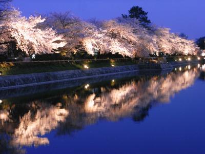 ２００９　京の桜巡り　?　【 夜桜♪ライトアップの長岡天満宮 】