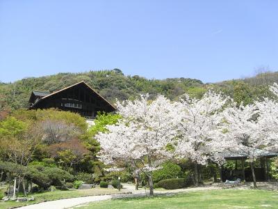 ２００９　京の桜巡り　?　【 桜満開♪大山崎山荘美術館 】