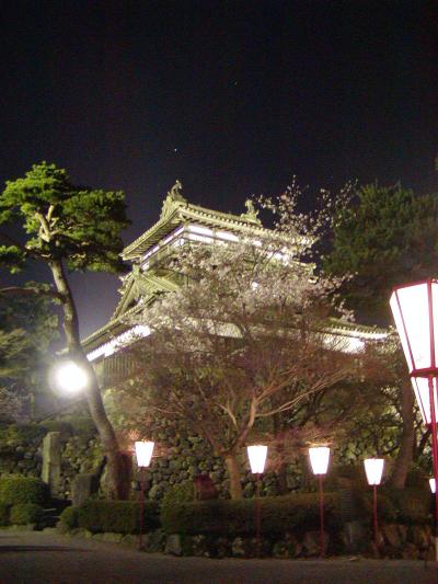 福井再発見　夜桜の丸岡城