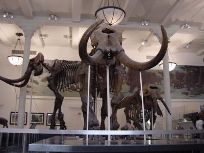 New York travel_day-2