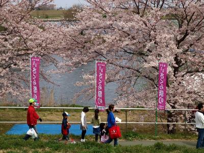 ２００９　荒川　さくら祭