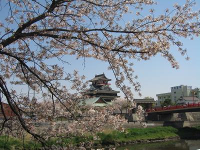 清洲城の桜