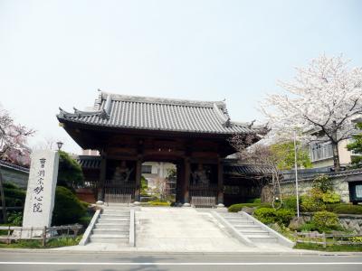 新寺通の寺の桜巡り　その４　妙心院