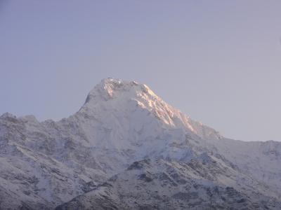 我が家のネパール・トレッキング旅行 ： その5 - タダパニ～ゴレパニ