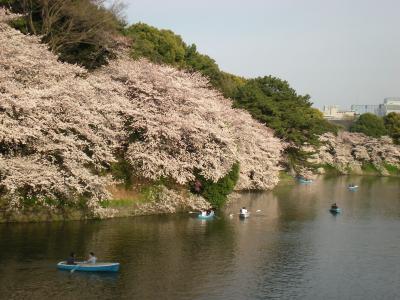 お花見～千鳥ヶ淵