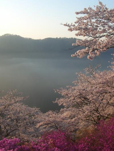 晴れの国　岡山（桜の三休公園）