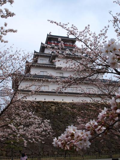 会津の旅　～桜前線を追いかけて、鶴ヶ城の桜に感動・・&#10048;&#10048;&#10048;