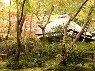 京都府　京都市　秋の嵯峨野めぐり−２（祇王寺、滝口寺、常寂光寺など）