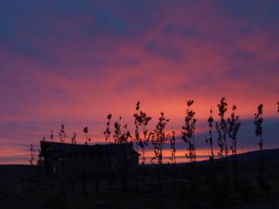 氷河でのトレッキング　（５） 4th day       El  Calafate, Chili
