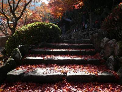 秋の安芸の宮島・紅葉の旅　その3