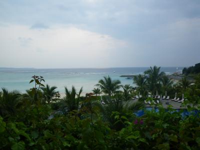 またまた沖縄へ