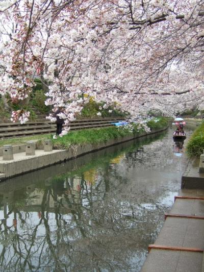 09年首都圏桜紀行～深谷＆元荒川～