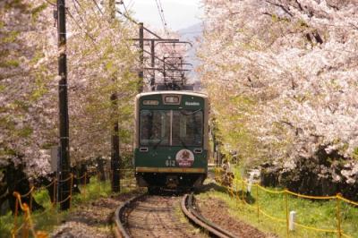  2009桜日記 吉野への桜旅? （出発～ちょこっと 京都編）