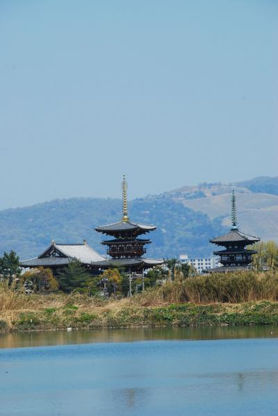 古の都を歩く?　☆伊賀上野城・薬師寺編☆
