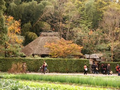 京都府　京都市　秋の嵯峨野めぐり−３（落柿舎、二尊院、大河内山荘など）