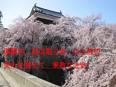 短歌　 風の旅　　番外編