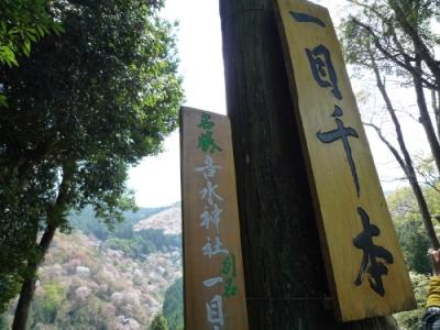 2009桜日記 吉野への桜旅? （吉野山で 桜三昧 ～帰宅編）