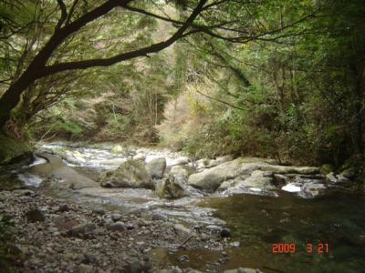 河津七滝めぐり