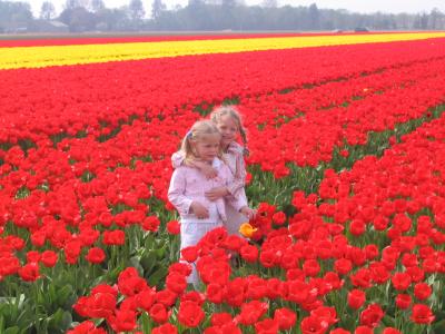 Keukenhof in Holland